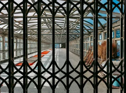 Paripesa Kasino Mobiilisovellus